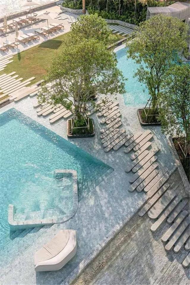 种树还能玩出这么多花样 种树还能玩出这么多花样