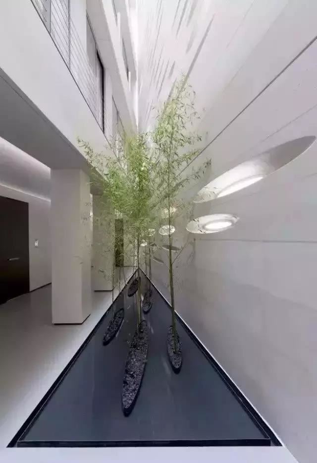 种树还能玩出这么多花样 种树还能玩出这么多花样