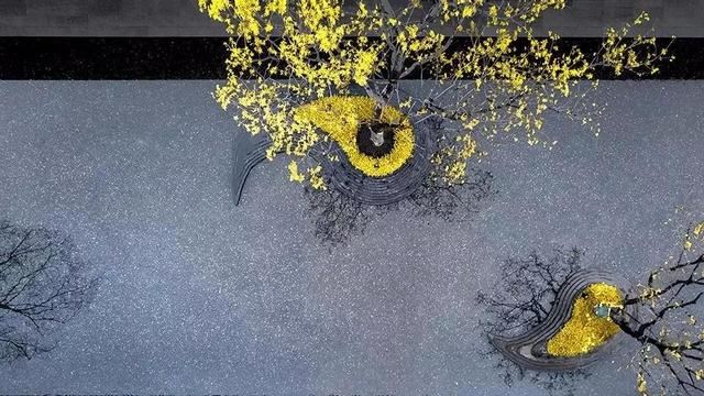 又美又实用的庭院设计,爱上只要0.1秒 又美又实用的庭院设计,爱上只要0.1秒