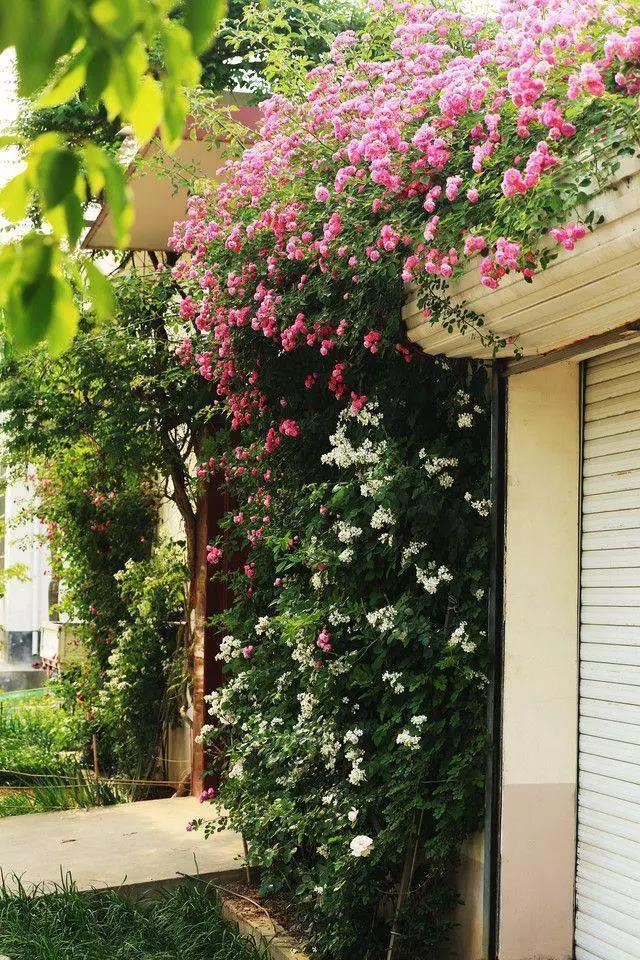 宅中有院,院中有屋,屋中有院,院中有天 宅中有院,院中有屋,屋中有院,院中有天