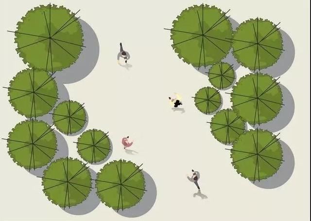 空间规划跟树木布局