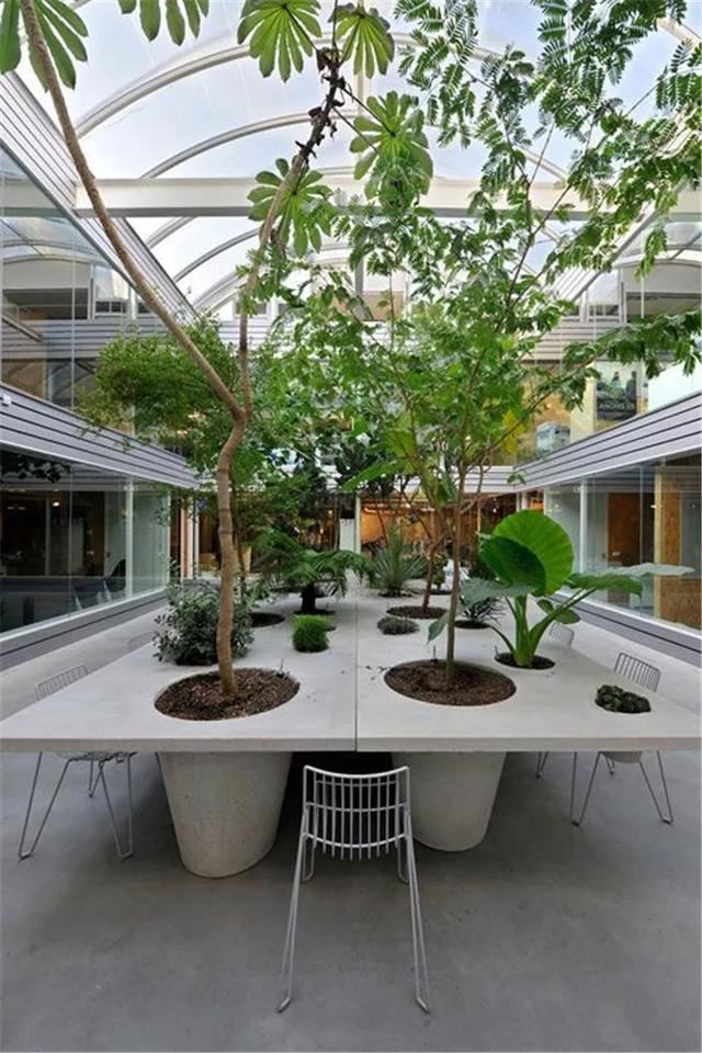 种树还能玩出这么多花样 种树还能玩出这么多花样