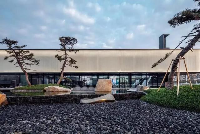 庭院因一棵松而美