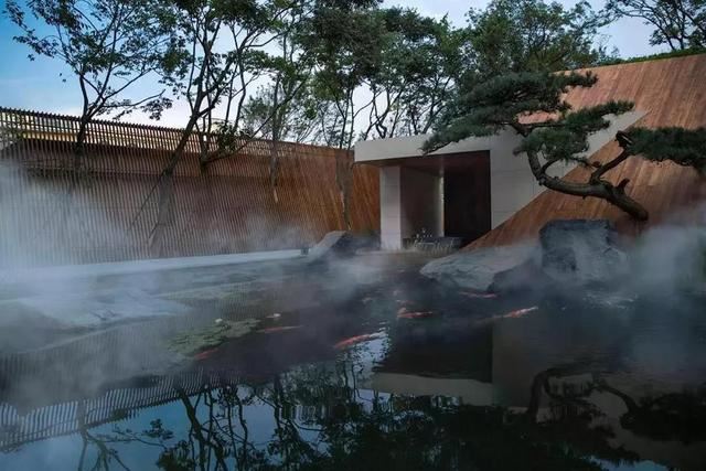 庭院因一棵松而美