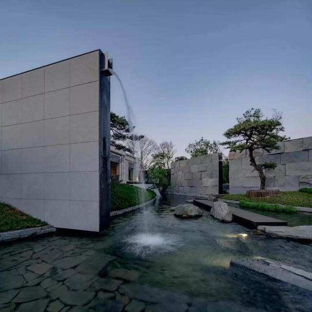 庭院因一棵松而美