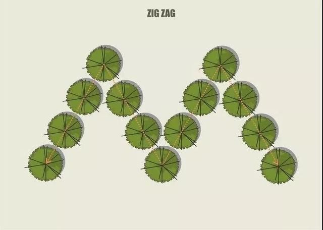 空间规划跟树木布局