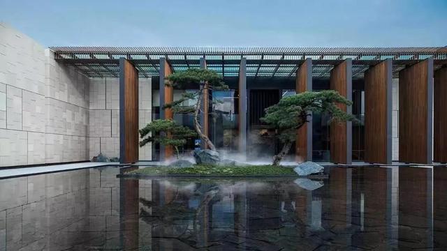 庭院因一棵松而美