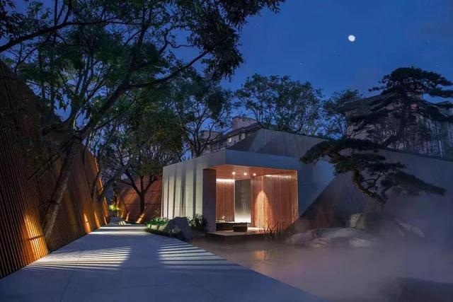 庭院因一棵松而美