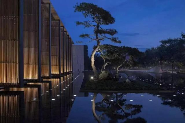 庭院因一棵松而美