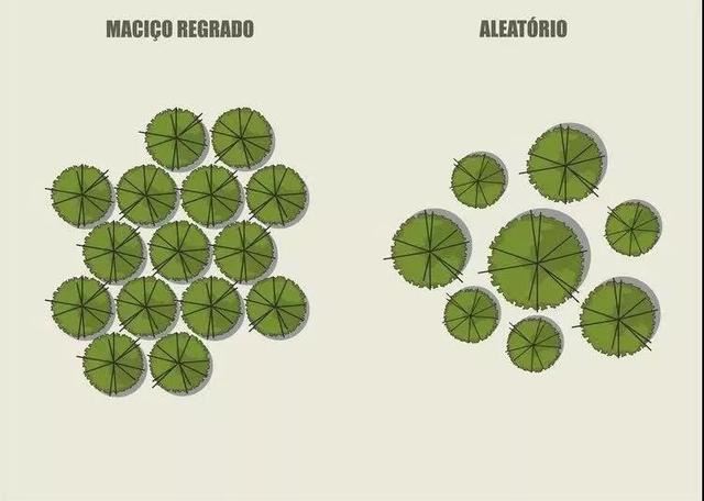 空间规划跟树木布局