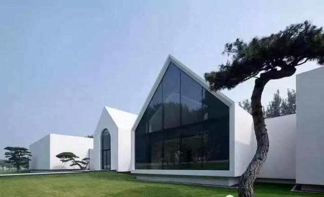 庭院因一棵松而美