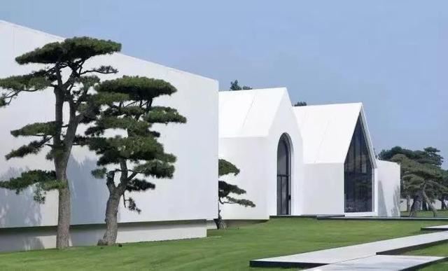 庭院因一棵松而美