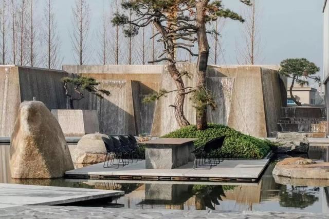 庭院因一棵松而美