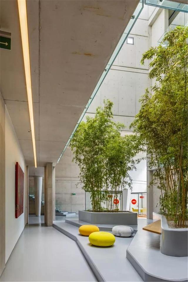 种树还能玩出这么多花样 种树还能玩出这么多花样