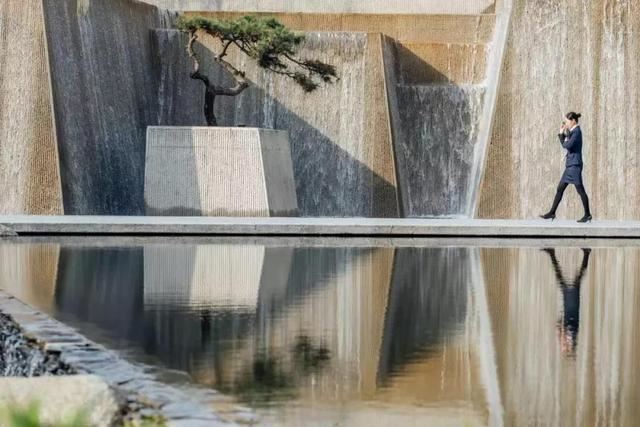 庭院因一棵松而美