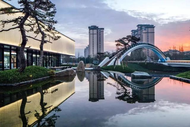 庭院因一棵松而美