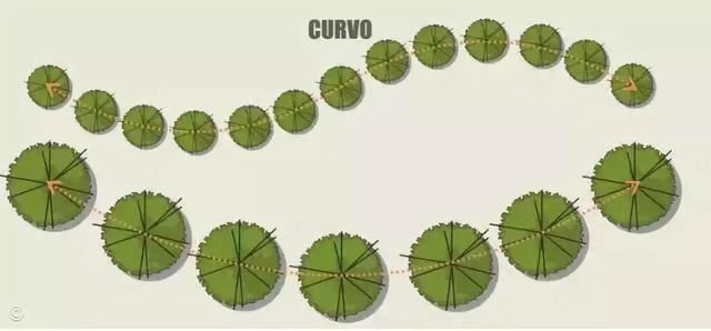 空间规划跟树木布局