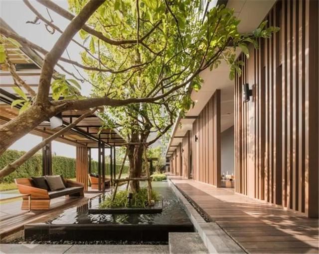 种树还能玩出这么多花样 种树还能玩出这么多花样