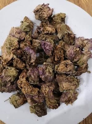 芙蓉花，花初开时为纯白色，后变为深红色，为稀有的名贵品种