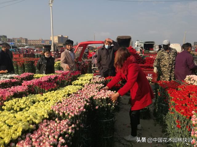 亚洲最大鲜切花交易市场恢复交易，登记进场花商花农不足3千人