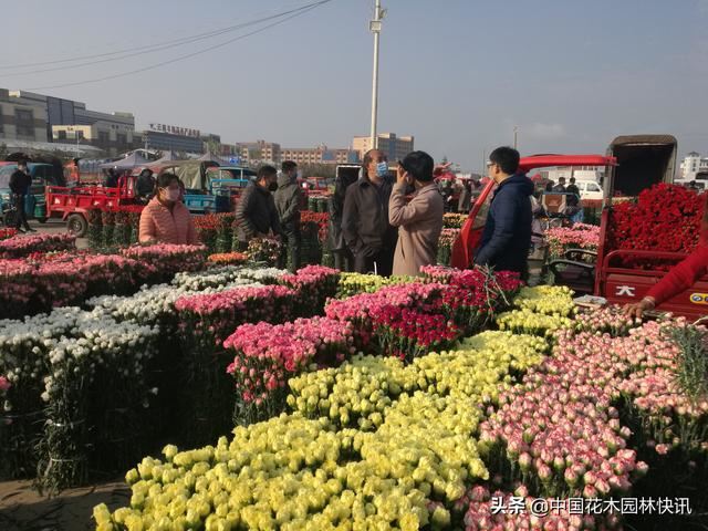 亚洲最大鲜切花交易市场恢复交易，登记进场花商花农不足3千人
