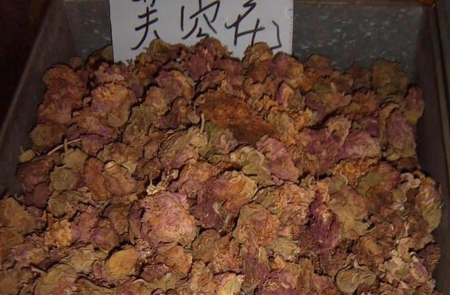 芙蓉花，花初开时为纯白色，后变为深红色，为稀有的名贵品种