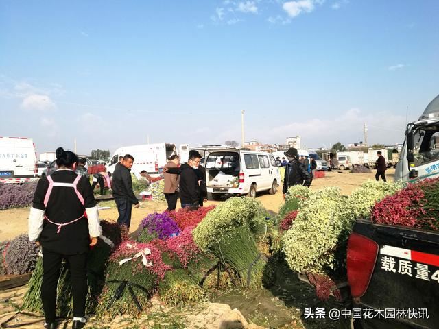亚洲最大鲜切花交易市场恢复交易，登记进场花商花农不足3千人