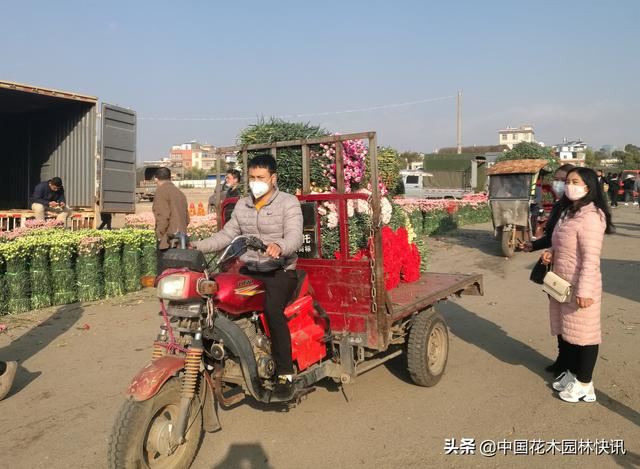 亚洲最大鲜切花交易市场恢复交易，登记进场花商花农不足3千人