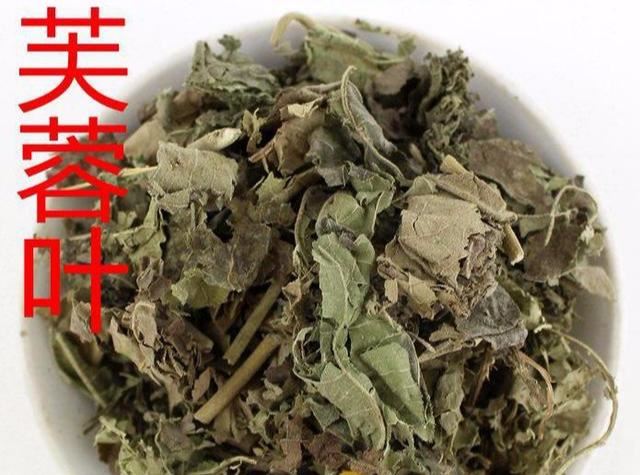 芙蓉花，花初开时为纯白色，后变为深红色，为稀有的名贵品种