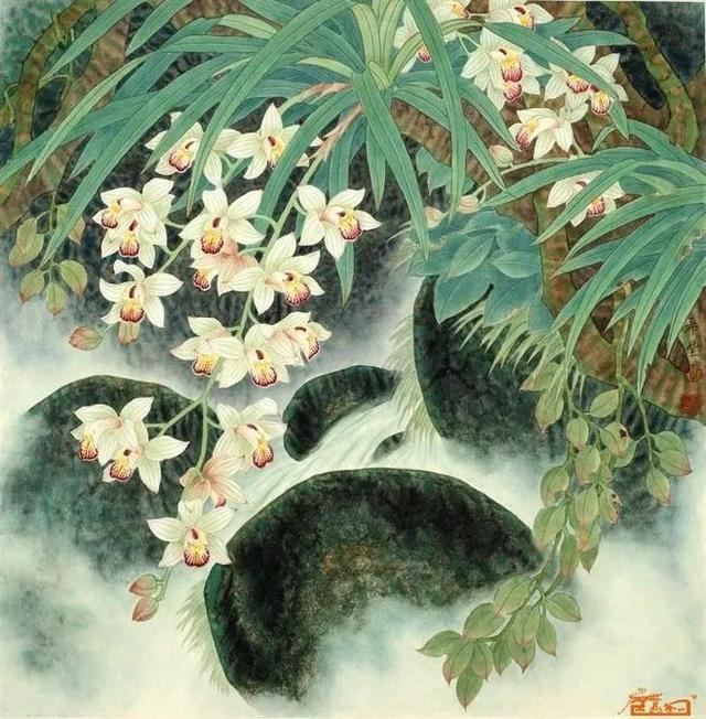 中国十大名花之君子之花：兰花的品种鉴赏及管理技术