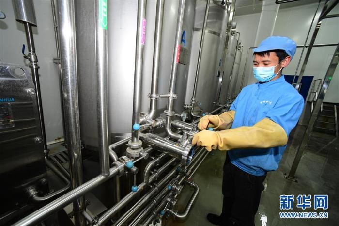 贵州龙里:刺梨加工企业全面复产 贵州龙里:刺梨加工企业全面复产