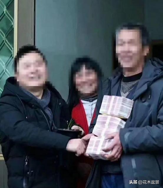 一日内从20万涨到80万的兰花长啥样? 一日内从20万涨到80万的兰花长啥样?