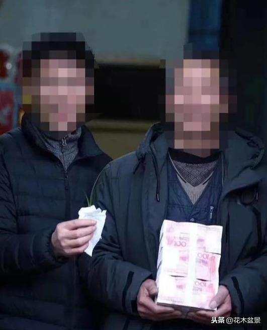 一日内从20万涨到80万的兰花长啥样? 一日内从20万涨到80万的兰花长啥样?