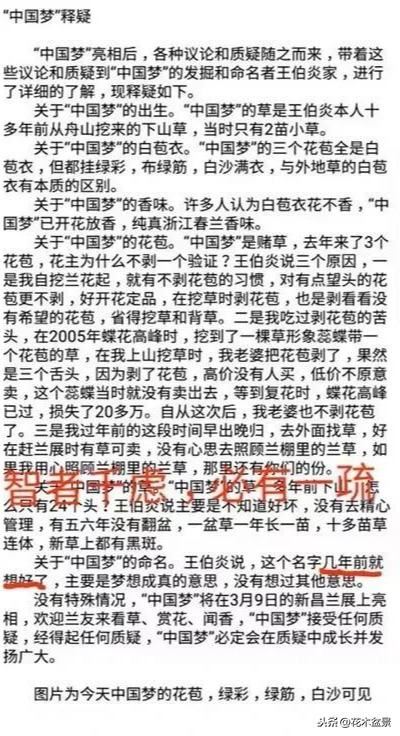 一日内从20万涨到80万的兰花长啥样? 一日内从20万涨到80万的兰花长啥样?