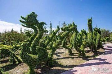 手把手教你把100元的花木卖到1000元,从卖产品到卖创意 手把手教你把100元的花木卖到1000元,从卖产品到卖创意