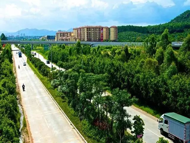 苗木品种好不好,由这些决定 苗木品种好不好,由这些决定