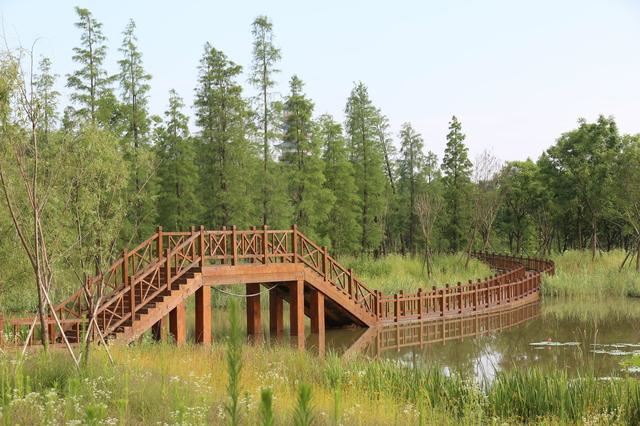 2020，国家公园要来了