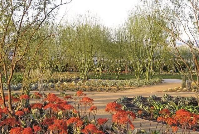 地被植物技巧，掌握了就是一个字“美”