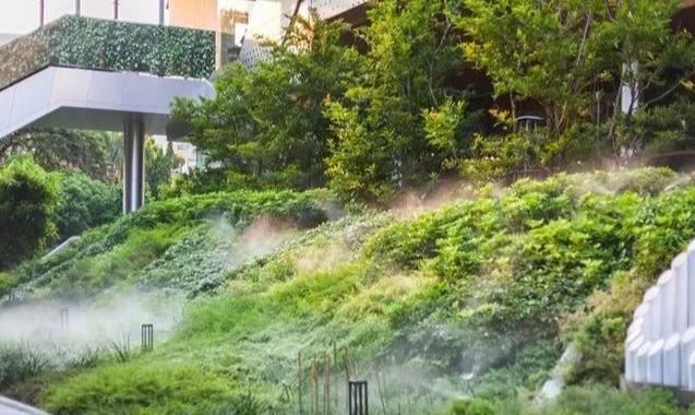 地被植物技巧，掌握了就是一个字“美”