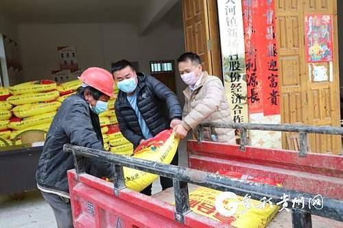 战“疫”不松 春耕不误——三都大地播下希望的种子 战“疫”不松 春耕不误——三都大地播下希望的种子