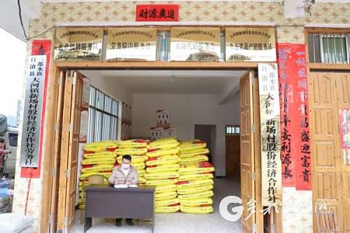 战“疫”不松 春耕不误——三都大地播下希望的种子 战“疫”不松 春耕不误——三都大地播下希望的种子