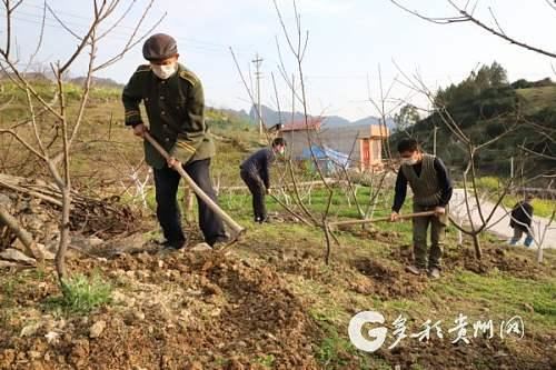 战“疫”不松 春耕不误——三都大地播下希望的种子 战“疫”不松 春耕不误——三都大地播下希望的种子