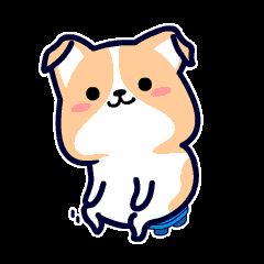 打造101个重点绿化村！23个精品绿化村！肥乡人看过来啦