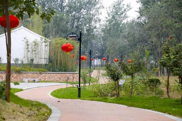 打造101个重点绿化村！23个精品绿化村！肥乡人看过来啦