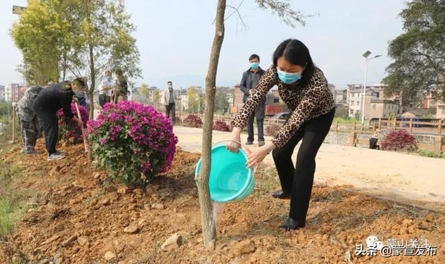 蒙山县再部署2020年造林绿化工作春季植树活动 蒙山县再部署2020年造林绿化工作春季植树活动