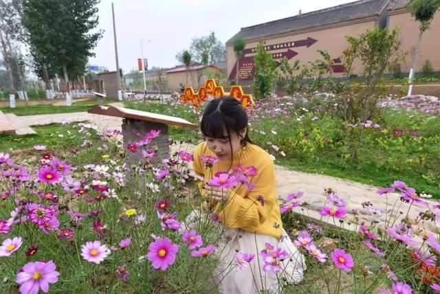 打造101个重点绿化村！23个精品绿化村！肥乡人看过来啦