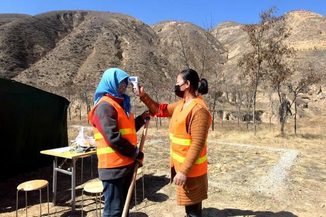 200万株树苗将“扎根”白虎山 榆中生态创新城绿化工程全面复工