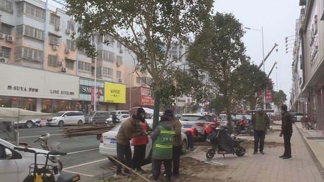 新乡封丘:住建局开展城区道路绿化补植 营造花海封丘 新乡封丘:住建局开展城区道路绿化补植 营造花海封丘