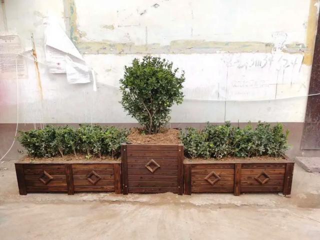 磁县磁州镇:抢抓时节忙植树,防疫“绿化”两不误 磁县磁州镇:抢抓时节忙植树,防疫“绿化”两不误