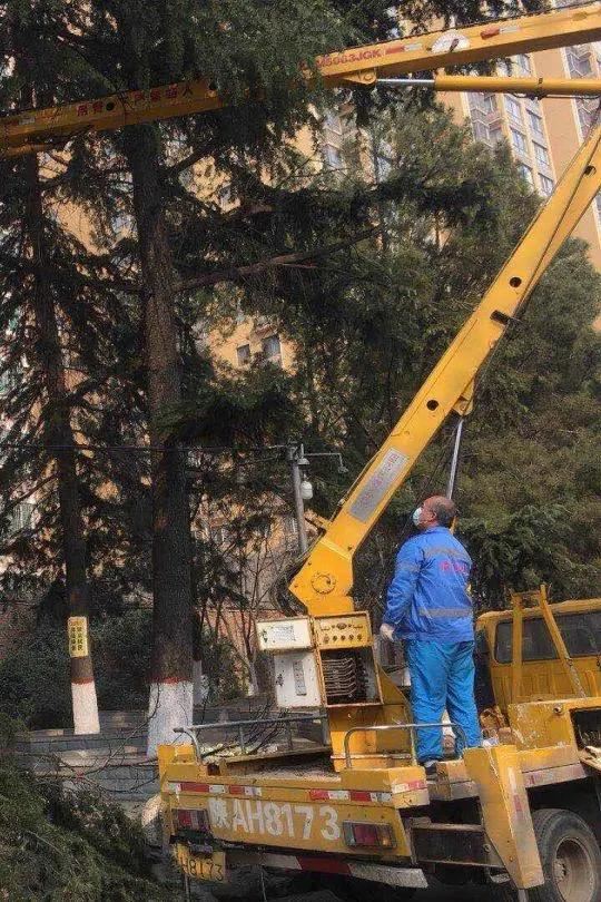 春伊始•绿护忙｜今年底，西安将新增城市绿地600万平方米，新建提升23个城市公园